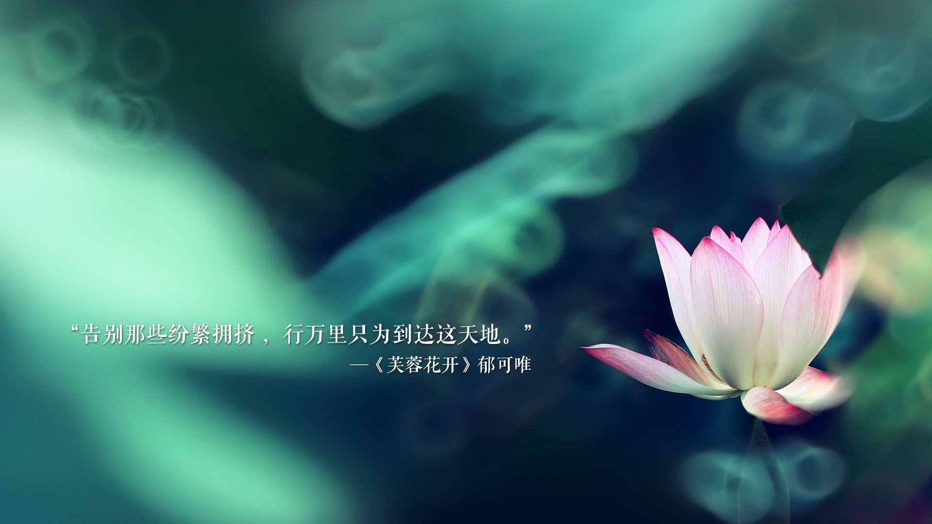 开云中国大陆-VALORANT 新版本平衡性获得好评，valorantdpi