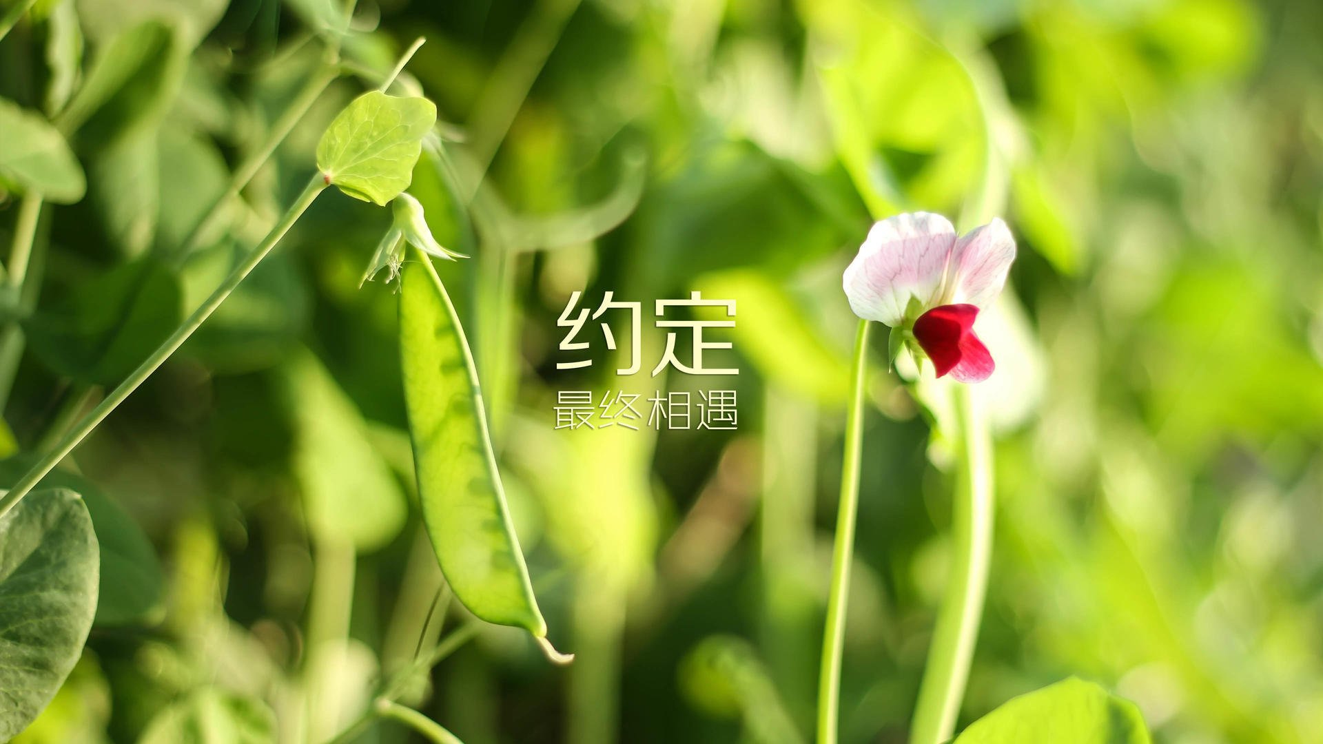 kaiyun开云·官方网站-_夜光跑：在灯火辉煌中畅享运动乐趣_，夜光跑道是什么意思