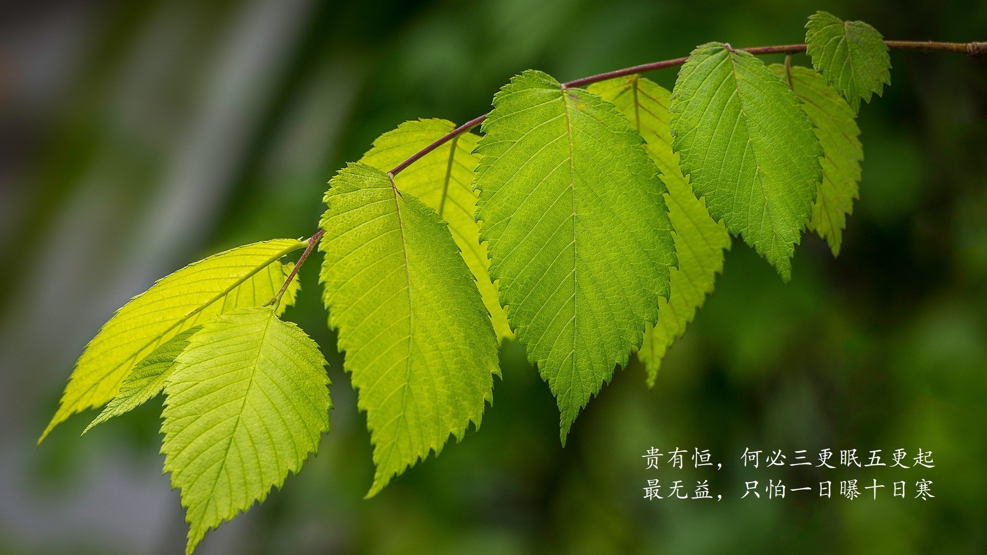开云网页版登录入口-英超教练组使用语义转写平台优化临场战术布置效率，英超dna教练