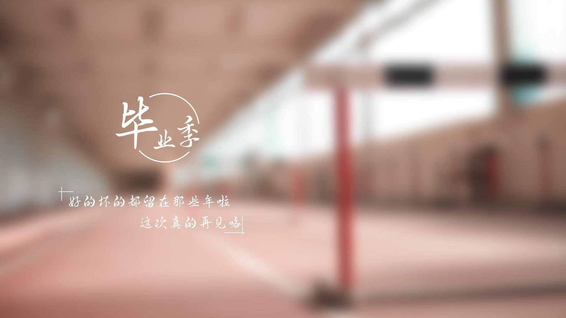 中国女篮关键比赛中发挥稳定 表现抢眼，中国女篮战术分析
