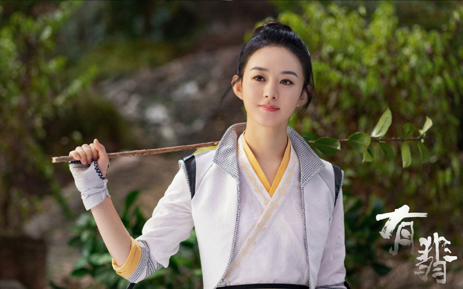 美洲杯激情燃烧：逆境中拼搏的精彩篇章，美洲杯锦集