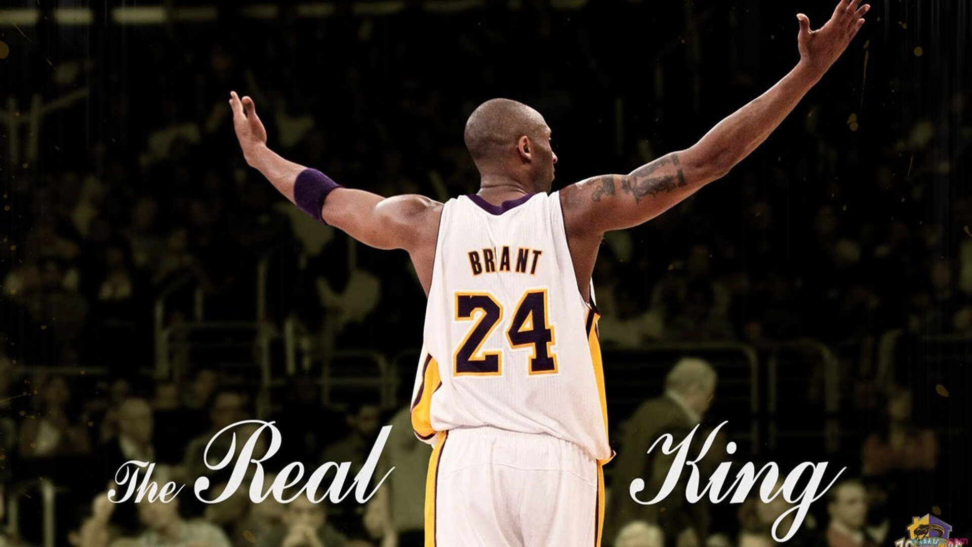 NBA明星的多重身份：从篮球偶像到时尚icon，nba明星的身高