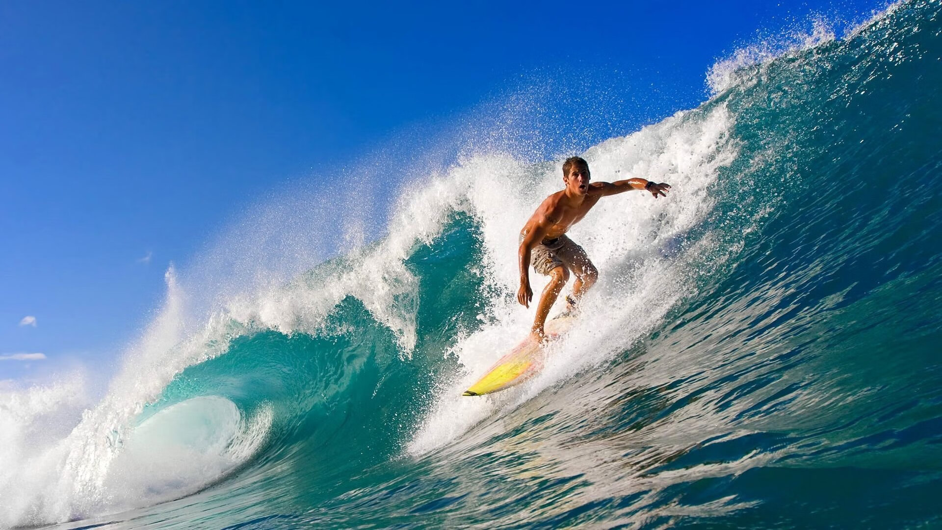 车手家庭:那些温暖的幕后故事,车手的命运